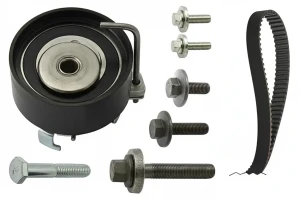 530 0495 10 INA Kit cinghia distribuzione