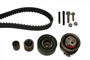 530 0503 10 INA Kit de correa de distribución