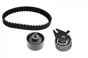 530 0507 10 INA Kit de correa de distribución