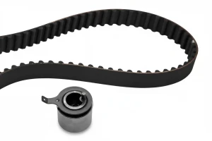 530 0520 10 INA Kit cinghia distribuzione