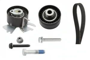 2.0 TDCi FORD FOCUS III Kit cinghia distribuzione INA