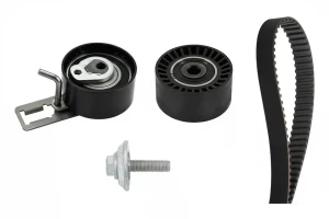 1.6 HDi CITROËN C5 III Kit cinghia distribuzione INA