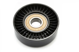 B 170, B 200, B 160, B 150, B 180 MERCEDES-BENZ B W245 Rullo tenditore cinghia trapezoidale INA