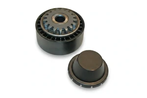 1.2 16V RENAULT THALIA II Rullo tenditore cinghia trapezoidale INA