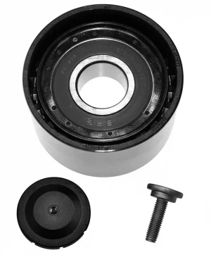Rullo cinghia trapezoidale R 300, R 280, R 63, R 320, R 350 MERCEDES-BENZ R W251, V251 INA