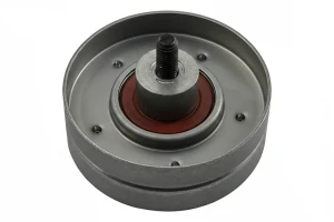 Rullo cinghia trapezoidale 1.4, 1.6 XR2i, 1.6 FORD FIESTA III INA