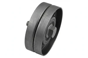 Rullo cinghia trapezoidale 1.6 FSI, 1.4 16V, 1.6 16V VW GOLF IV INA
