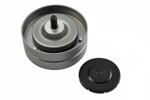 Galet de courroie trapézoïdale 3.7, 4.2 AUDI A8 D3 INA