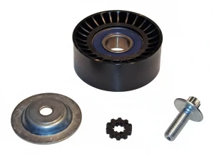 Rullo cinghia trapezoidale 2.0 JTD FIAT FREEMONT I INA