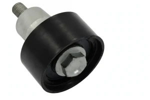 532 0753 10 INA Rullo tenditore cinghia distribuzione