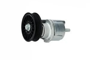 1.9 TDI Tendicinghia multirighe AUDI A6 C5 INA