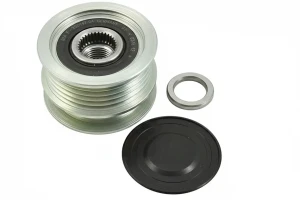 1.5 dCi RENAULT THALIA II Frizione alternatore puleggia INA