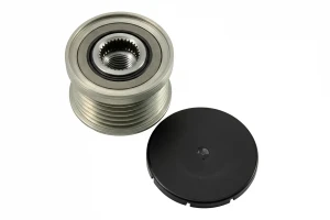 2.0 i BMW Z4 E85 Frizione alternatore puleggia INA