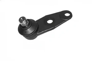 Pivote del brazo de control RENAULT KANGOO I SASIC