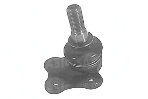 Perno braccio oscillante RENAULT VEL SATIS SASIC