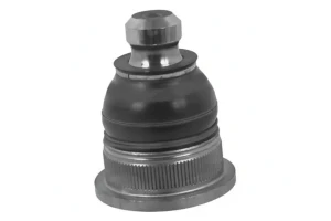 Perno braccio oscillante RENAULT CLIO III SASIC