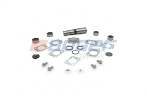 Kit di riparazione perno fusello IVECO P/PA-Haubenfahrzeuge AUGER