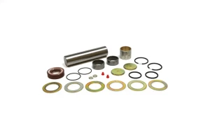Kit de réparation de pivot de fusée MAN F2000 AUGER