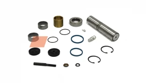 Kit di riparazione perno fusello RENAULT TRUCKS R AUGER