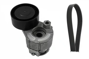 1.5 dCi Kit de courroie multi-cannelée NISSAN MICRA III INA