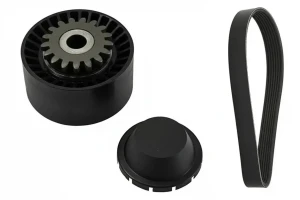 1.2 16V, 1.2 Kit cinghia trapezoidale multirighe RENAULT CLIO III INA