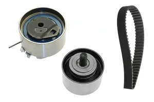 530 0641 10 INA Kit de courroie de distribution