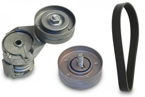 1.4 16V, 1.6 16 Kit de correa trapezoidal acanalada SEAT LEON I INA