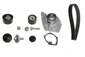 2.0 16V, 2.0 RENAULT SCENIC II Kit de distribución + bomba de agua INA