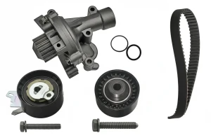 2.0 16V CITROËN C4 I Kit distribuzione + pompa acqua INA