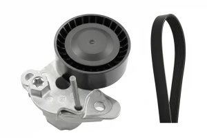 1.0 TSI, 1.4 TGI, 1.4 TSI, 1.2 TSI Kit de correa trapezoidal acanalada VW CADDY III INA