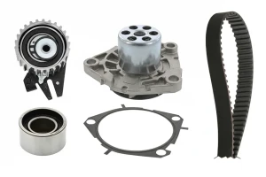 530 0625 30 INA Kit de distribution + pompe à eau