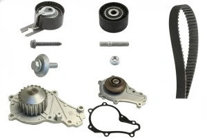 1.4 16V CITROËN C3 I Kit distribuzione + pompa acqua INA