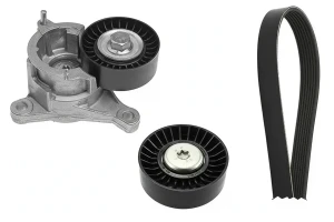 2.0 S16 Kit de correa trapezoidal acanalada PEUGEOT 206 INA