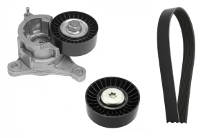 2.2, 2.0 Kit de correa trapezoidal acanalada CITROËN C8 I INA