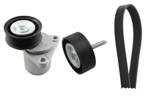 2.0 Kit de correa trapezoidal acanalada FORD S-MAX I INA