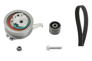 1.4 TDI SKODA Fabia III Kit de correa de distribución INA