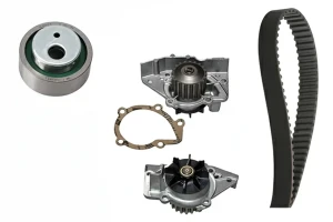 2.0 CITROËN EVASION Kit de distribución + bomba de agua INA