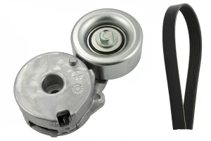 2.0 16V Kit de correa trapezoidal acanalada RENAULT CLIO III INA