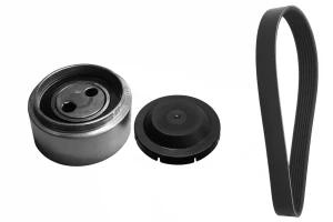 529 0087 10 INA Kit de correa trapezoidal acanalada