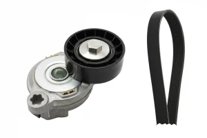 D5 AWD, D4 AWD, 2.4 D, D3 Kit cinghia trapezoidale multirighe VOLVO XC70 II INA