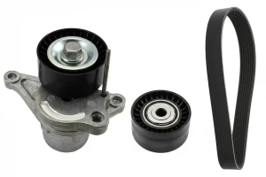 2.0 dCi Kit de correa trapezoidal acanalada RENAULT LAGUNA II INA