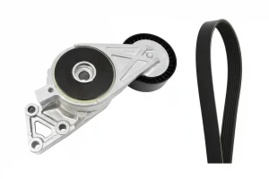1.6, 2.0 FSI Kit cinghia trapezoidale multirighe VW GOLF V INA