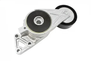 2.0 FSI, 1.6, 2.0 TFSI, 1.6 LPG Tendicinghia multirighe SEAT LEON II INA