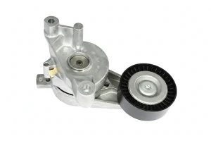 2.0 TDI, 1.9 TDI Tendicinghia multirighe VW TOURAN I INA