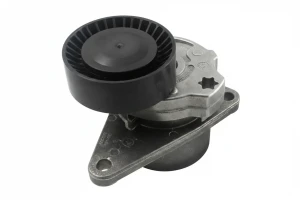 2.5 T, 2.4 T, T5, 2.0 T, 2.4, R 2,5 Tendicinghia multirighe VOLVO V70 II INA