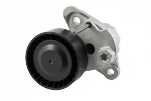 1.0 Tendicinghia multirighe SKODA FABIA III INA
