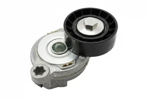 D3 /, D3, D5 AWD, D5, 2.4 D Tendicinghia multirighe VOLVO S80 II INA
