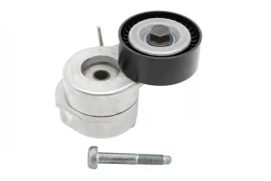 1.3 D Tendicinghia multirighe FIAT IDEA INA