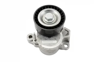 1.4 TDI Tendicinghia multirighe AUDI A1 I INA