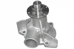 B211 DOLZ Pompa acqua